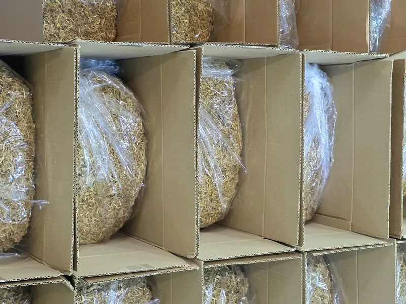 EYD ginger packed in cartons in storage